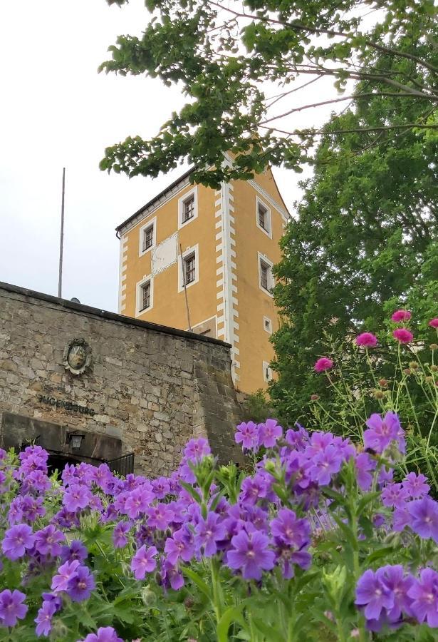 Cosis Ferienwohnung Хонштайн Экстерьер фото